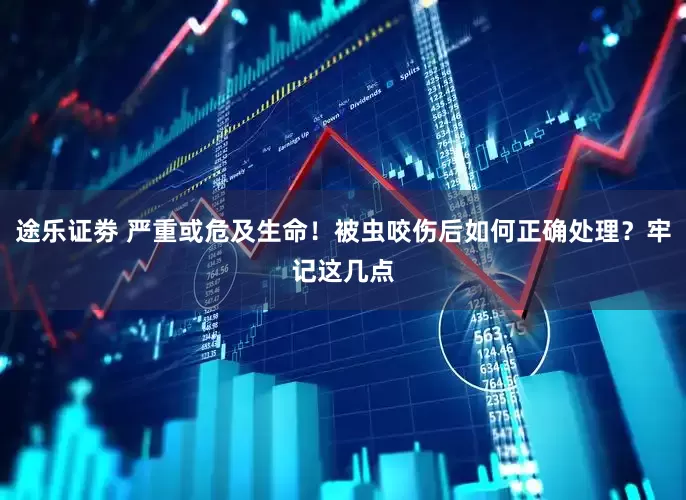 途乐证劵 严重或危及生命！被虫咬伤后如何正确处理？牢记这几点